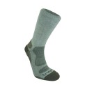 Bamboo Crew - Natural/Eucalyptus