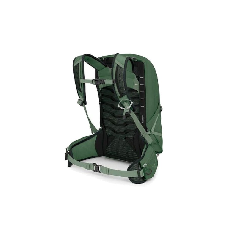 Talon 11 - Green Canopy