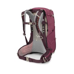 W Sirrus 24 - Elderberry Purple/Chiru Ta