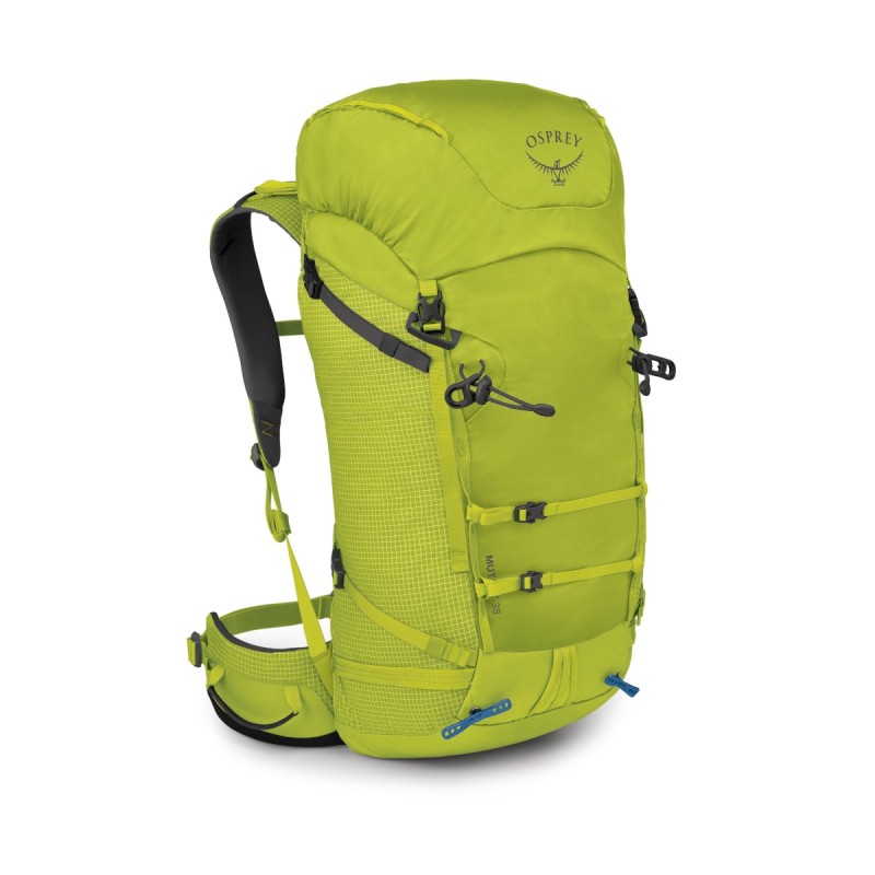 Mutant 38 - Lemongrass