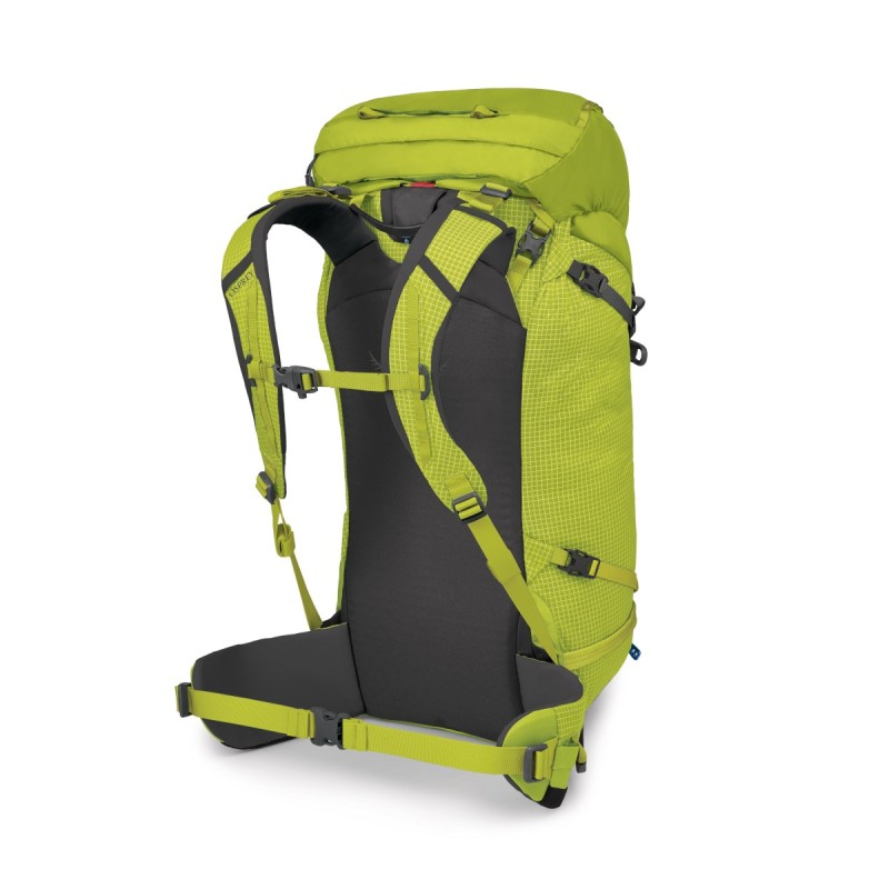 Mutant 38 - Lemongrass