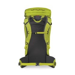 Mutant 38 - Lemongrass