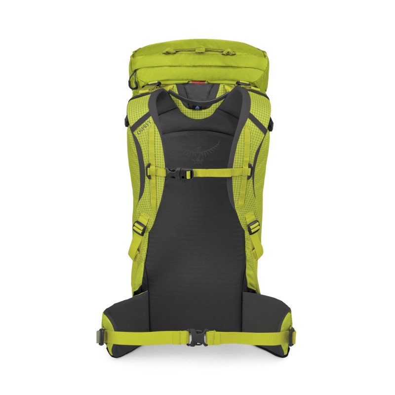 Mutant 38 - Lemongrass