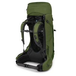 Aether 55 - Garlic Mustard Green