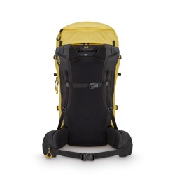 Ascendor 35 - Dark Pollen