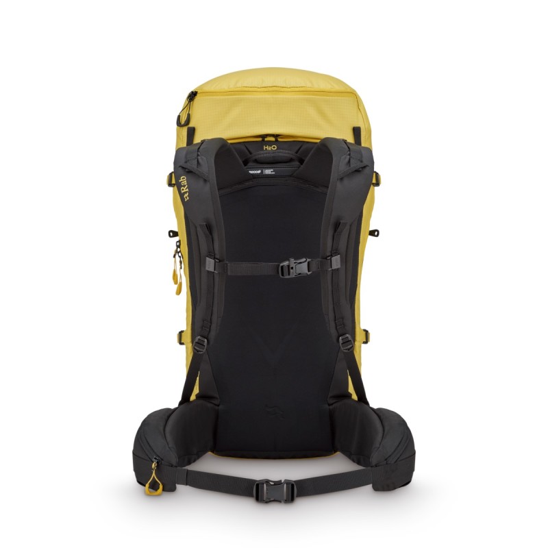 Ascendor 35 - Dark Pollen