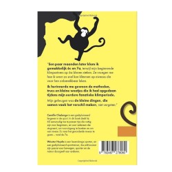 Klimmen met vertrouwen - 60 Ultieme Tips