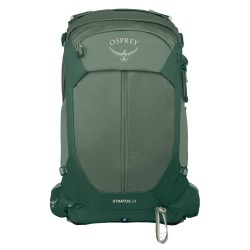 Stratos 24 - Pine Leaf