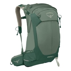 Stratos 24 - Pine Leaf