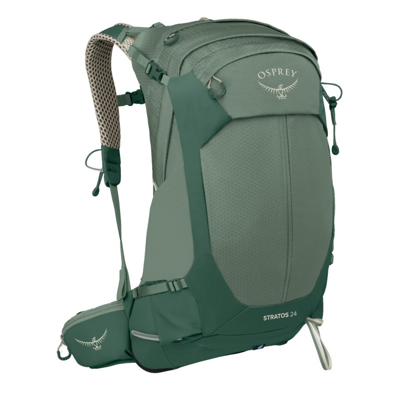 Stratos 24 - Pine Leaf