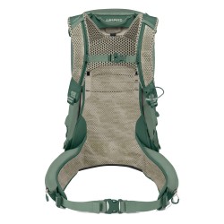 Stratos 24 - Pine Leaf