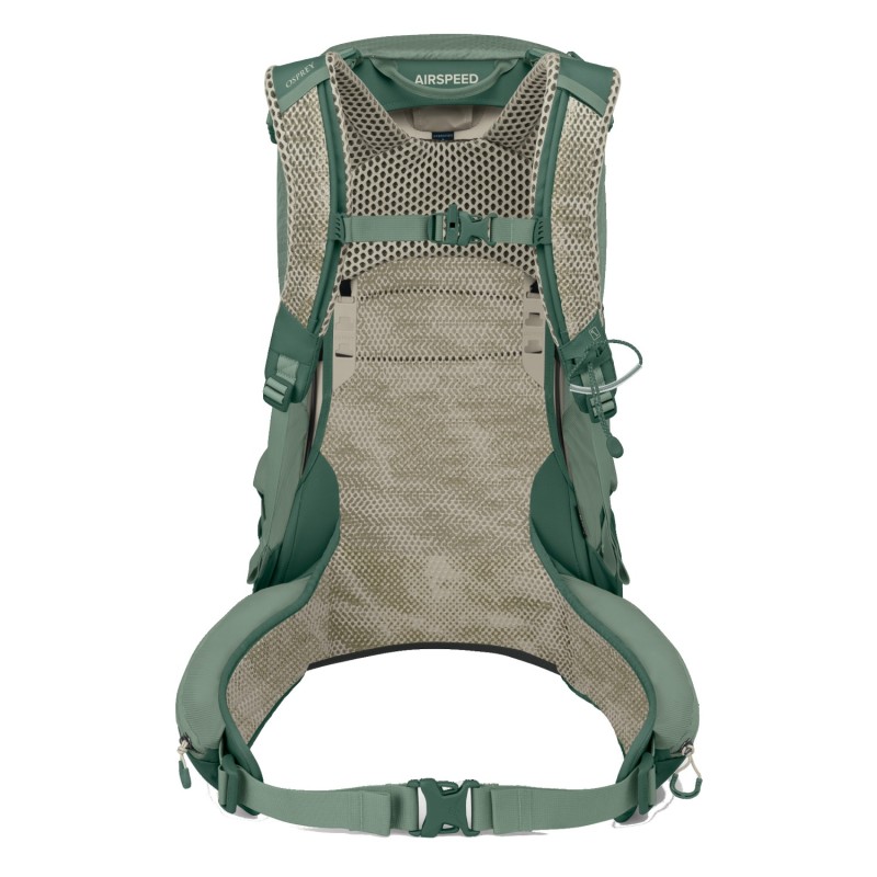 Stratos 24 - Pine Leaf