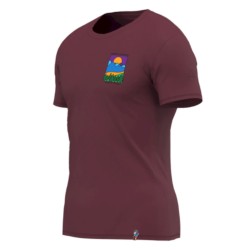 Always Climbing - Redwood