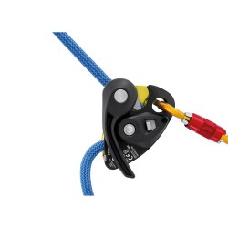 Grigri + Yellow D015AA00