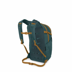 Daylite Plus - Torrent Blue
