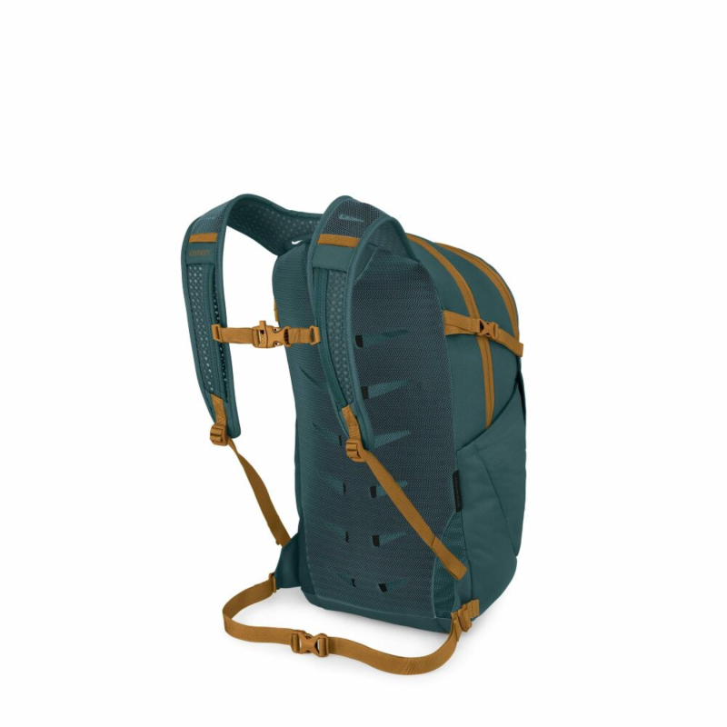Daylite Plus - Torrent Blue