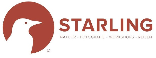 Starling